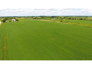 Property photo 7 - LAND AUCTION - 84+/- ACRES IN RUSH COUNTY, INDIANA